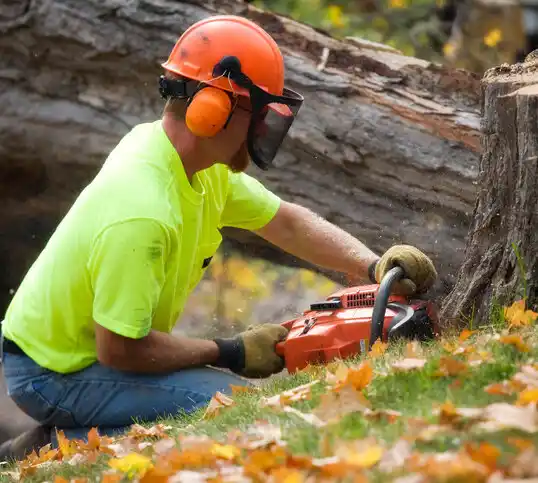 tree services Sugar Grove